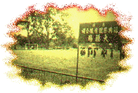 school804.gif (17835 bytes)